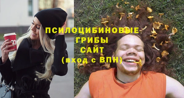 дживик Болотное