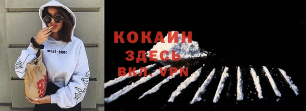 бошки Болохово