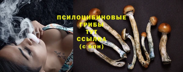 мефедрон Новодвинск